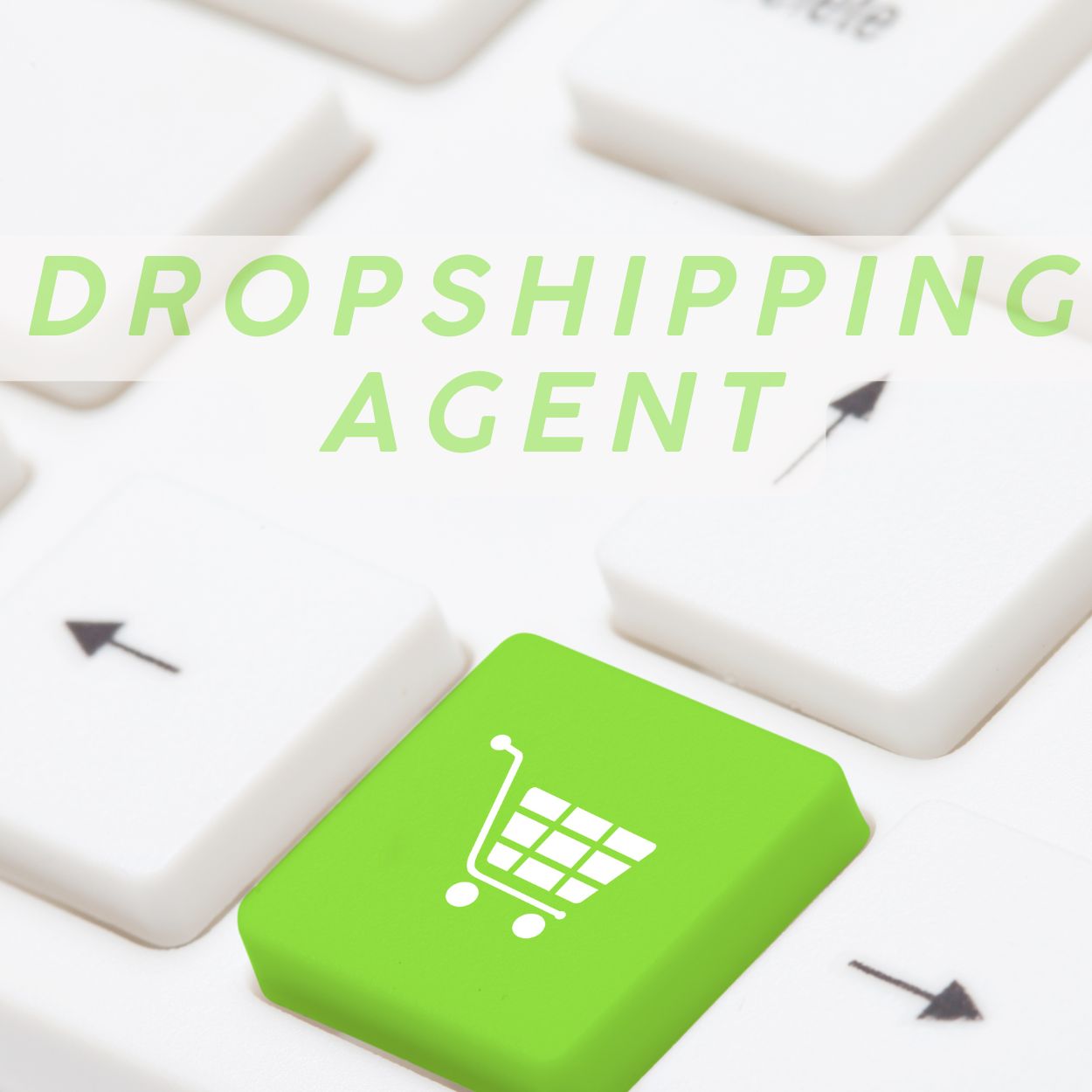 Dropshipping Agent Cooperation