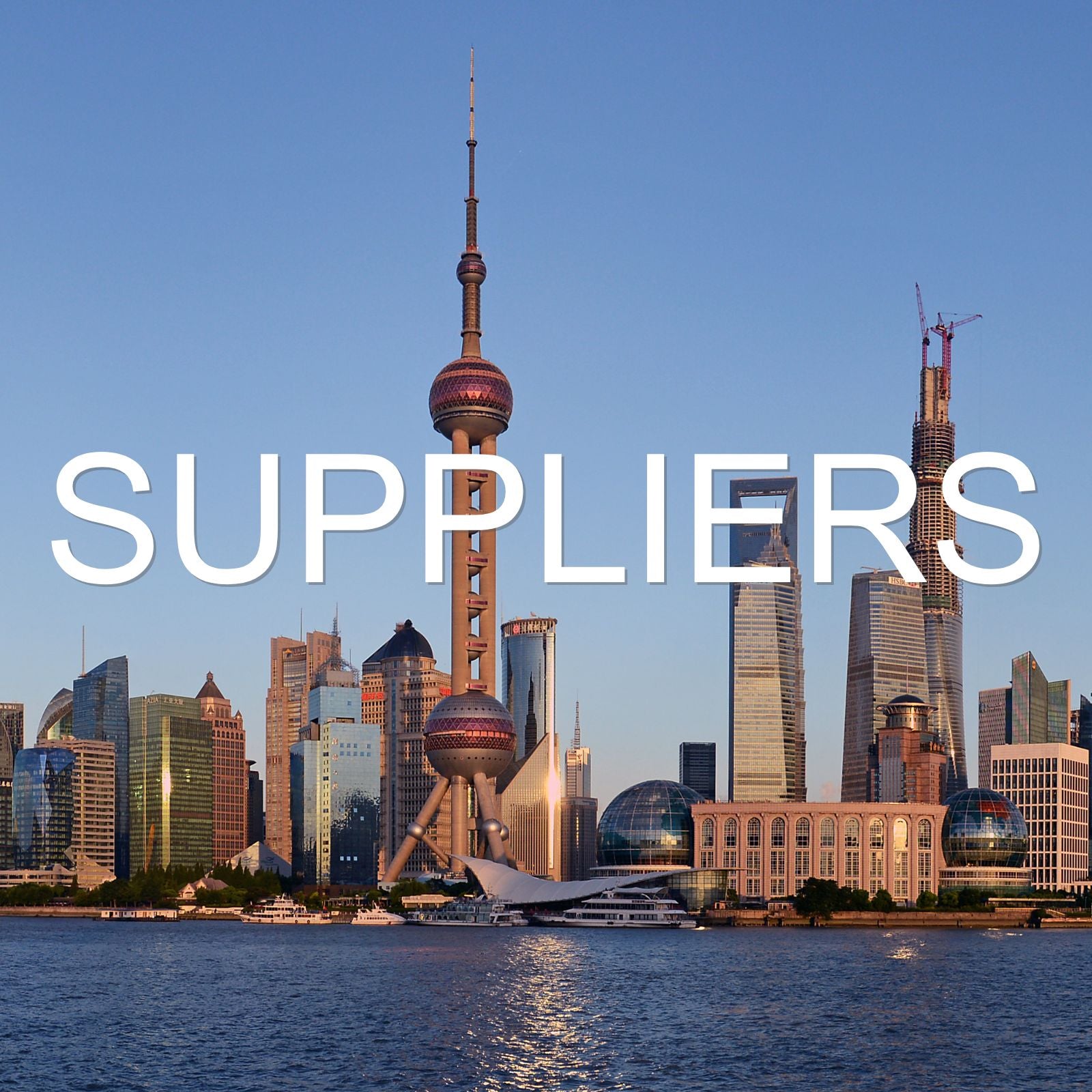 Chinese Suppliers