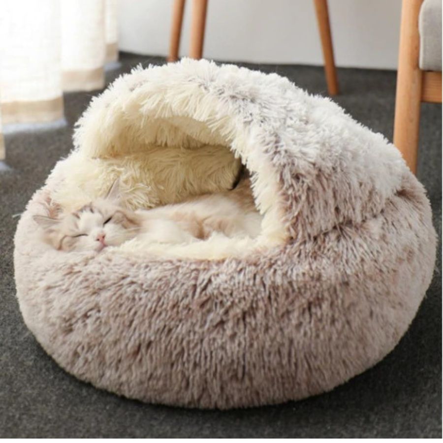 Pet Beds